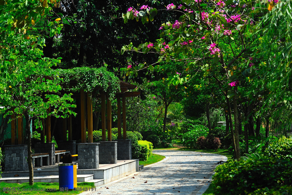 深圳市 光明 新区 明湖 城市 公园 深圳绿化 城市绿化 城市公园 市政公园 园林景观 绿树 绿化带 园林建筑 建筑园林