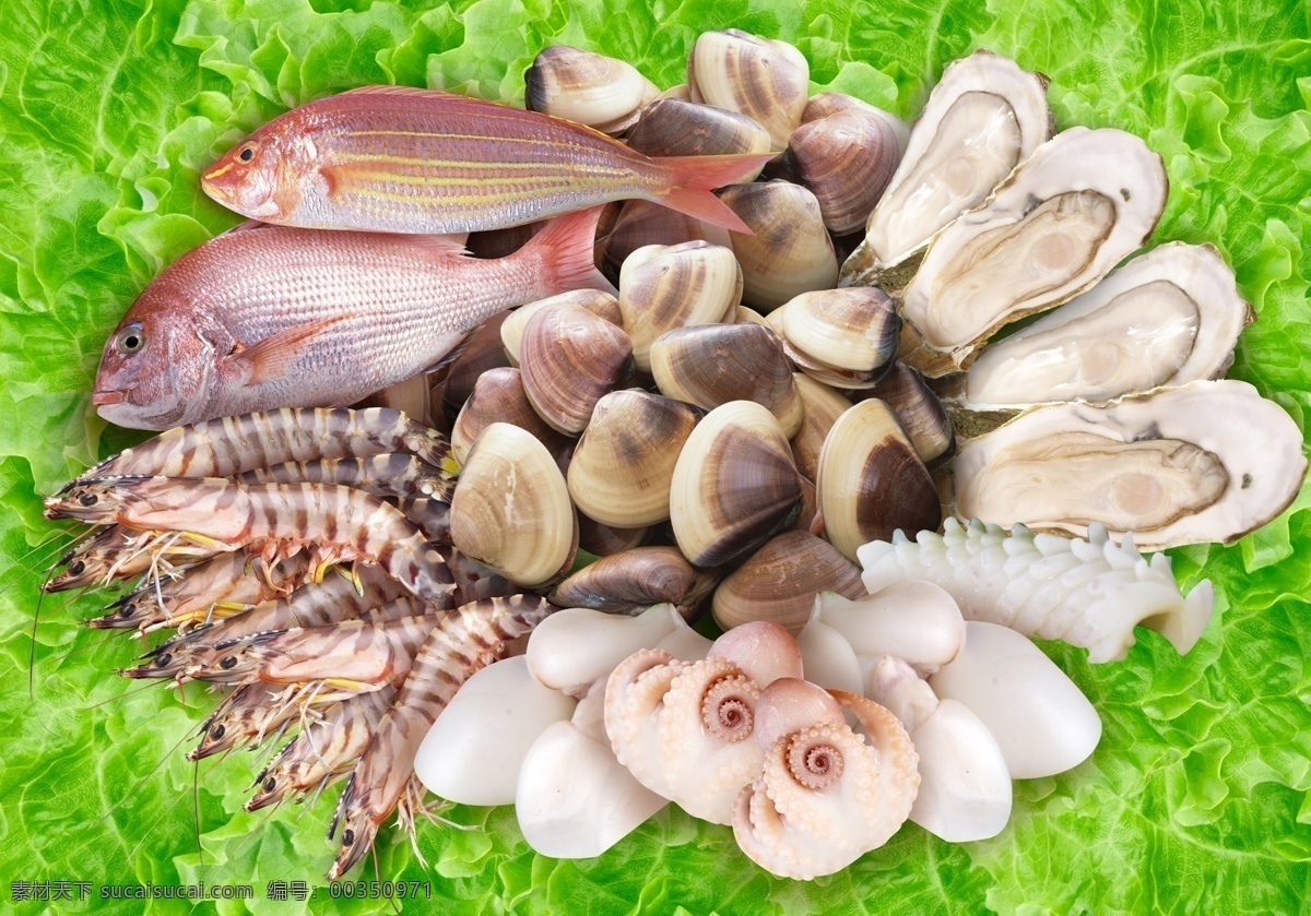 海鲜拼盘 美食 鱼 虾 牡蛎 贝壳 包装设计 分层