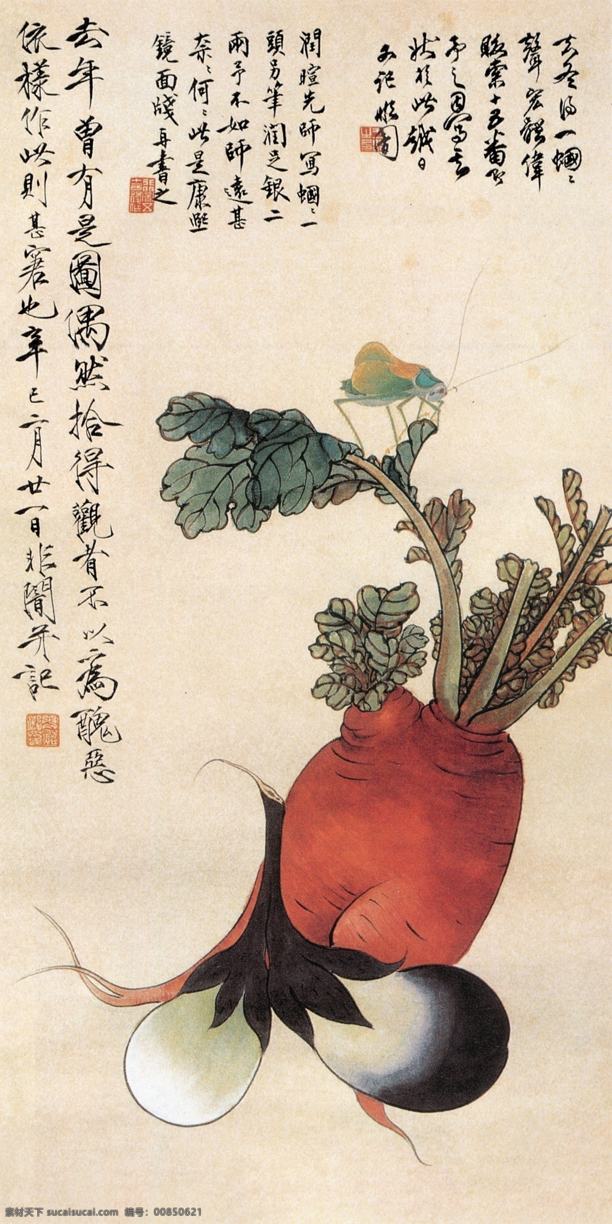 萝卜蝈蝈 萝卜 心里美 蝈蝈 茄子 蔬菜 工笔 于非闇 国画 绘画书法 文化艺术