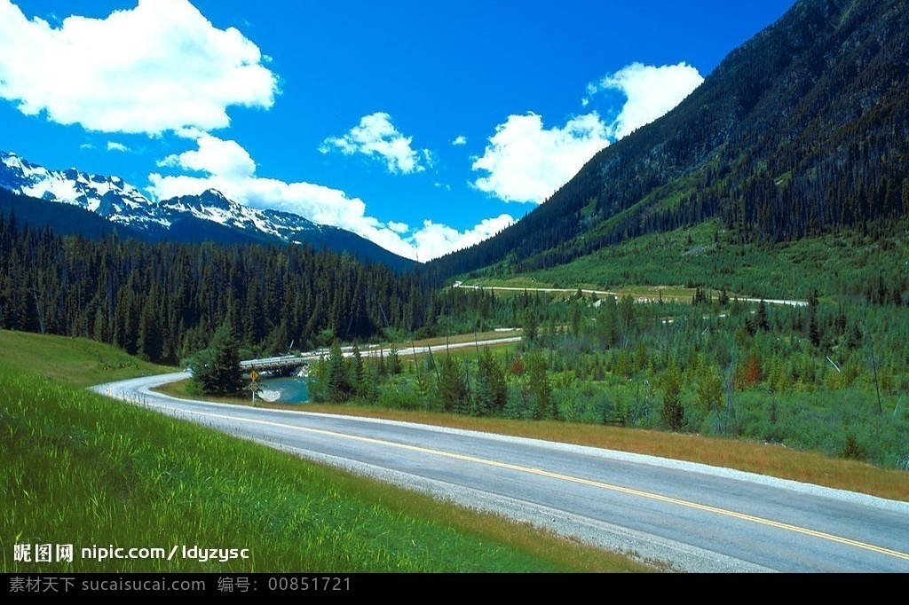 山间公路 公路 弯曲 草地 树 树林 山 自然景观 自然风景 摄影图库