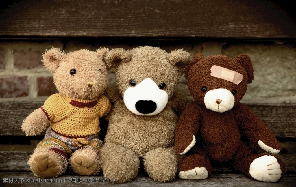 玩具熊图片 玩具熊 熊熊玩具 毛熊玩具 玩具 玩具布偶 布绒玩具 素材摄影 生活百科 生活素材