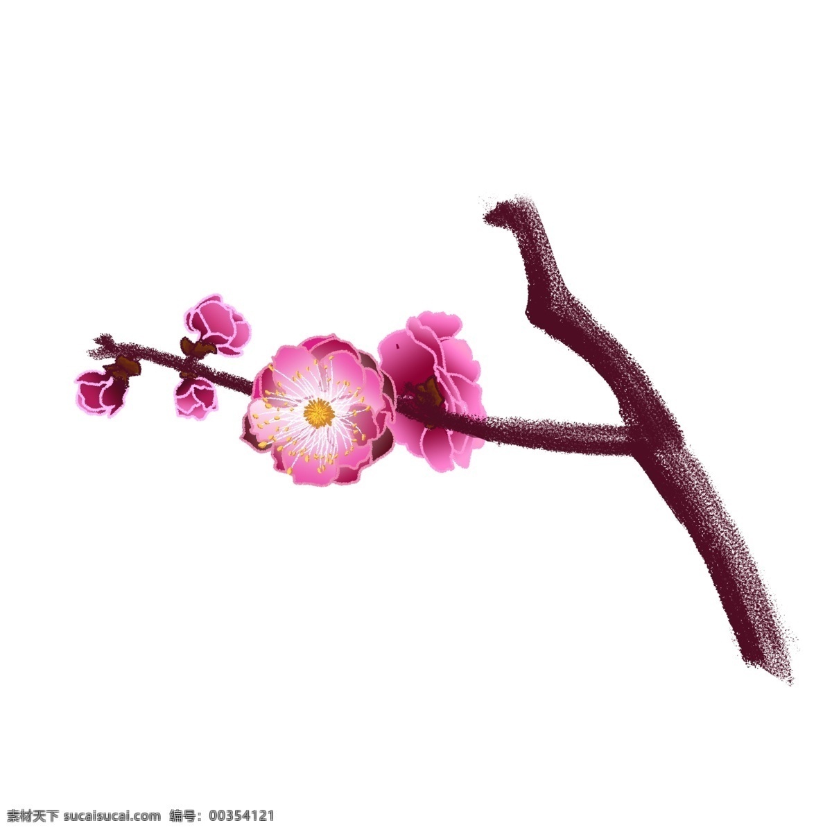 手绘 中国 风 紫红色 梅花 花苞 中国风 紫色 唯美 树枝 浪漫 粉色 梅花花苞 花