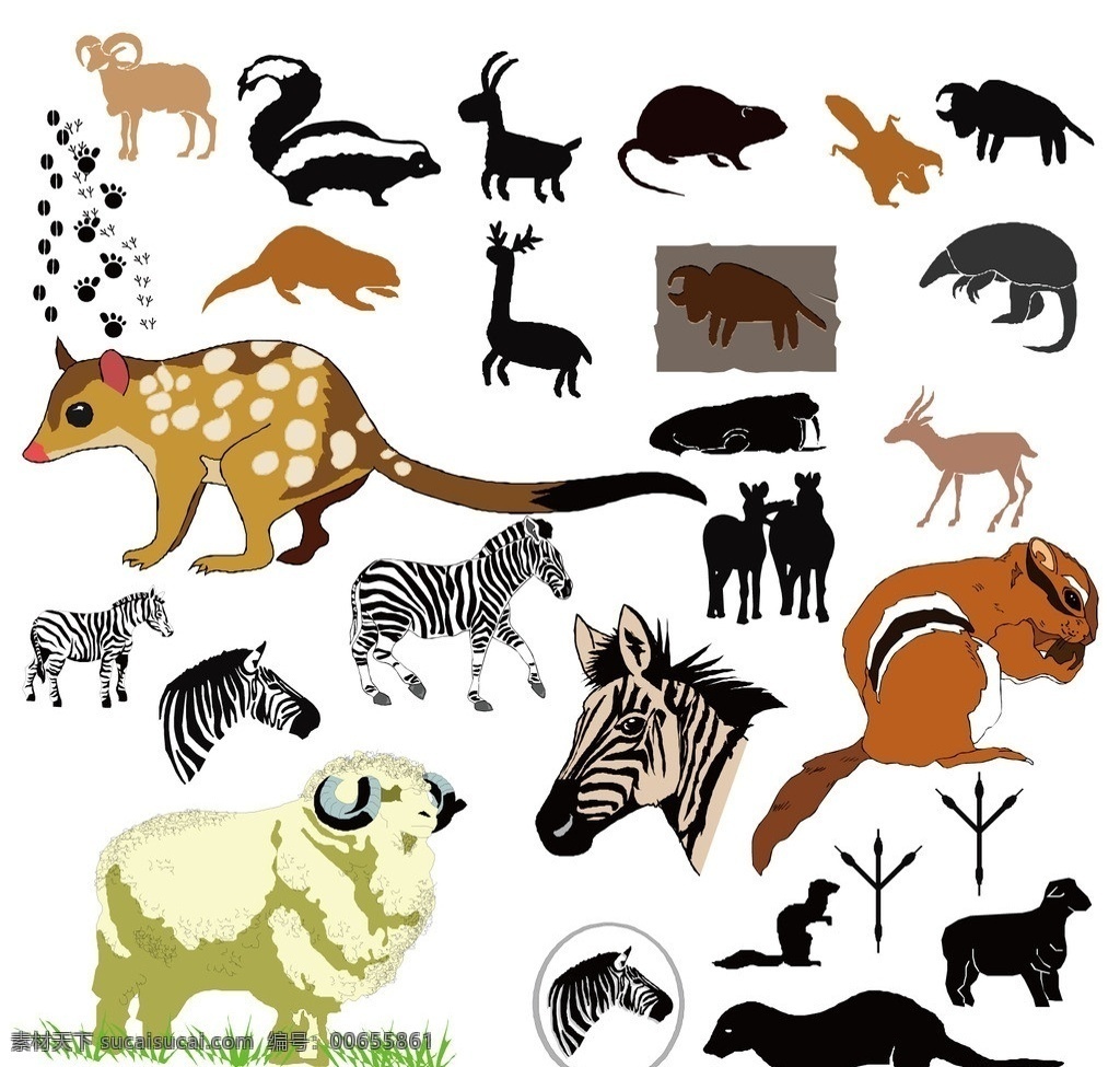 卡通 动物 绵羊 斑马 松鼠 剪影 脚印 穿山甲 动物图形元素 野生动物 生物世界 矢量
