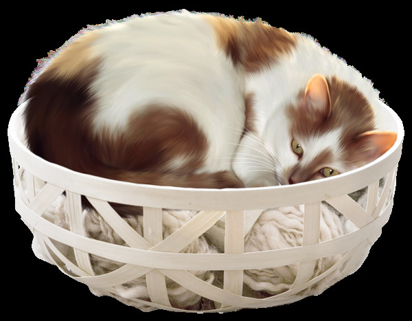 睡觉的猫咪 动物 卡通猫 猫咪设计图 设计元素 手绘素材 夜猫 装饰图案