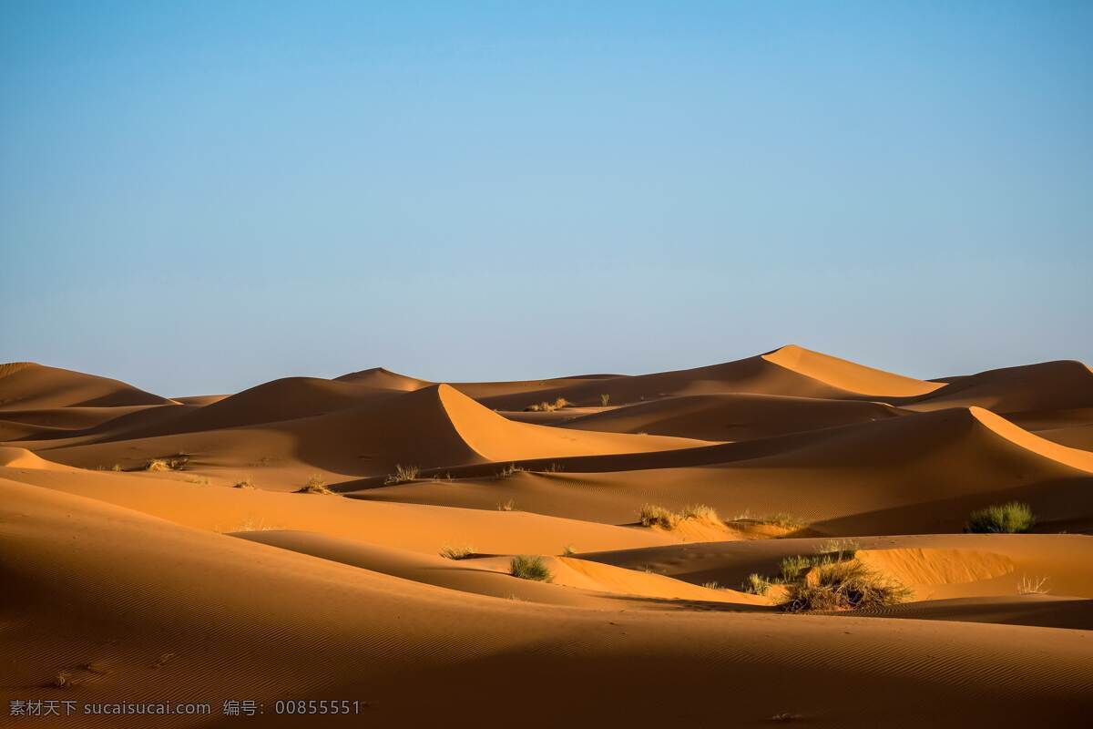 沙 沙漠素材 摄影素材 自然景观 自然风景 沙漠景观 沙丘 荒漠 荒芜沙漠 干枯 沙子 沙海 大漠 沙漠丘陵