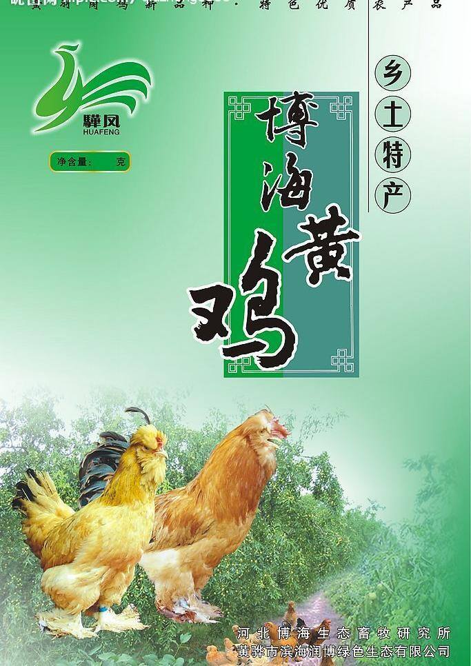 土鸡 包装 包装设计 绿色食品 矢量图库 矢量 模板下载 土鸡包装 乡土特产 psd源文件