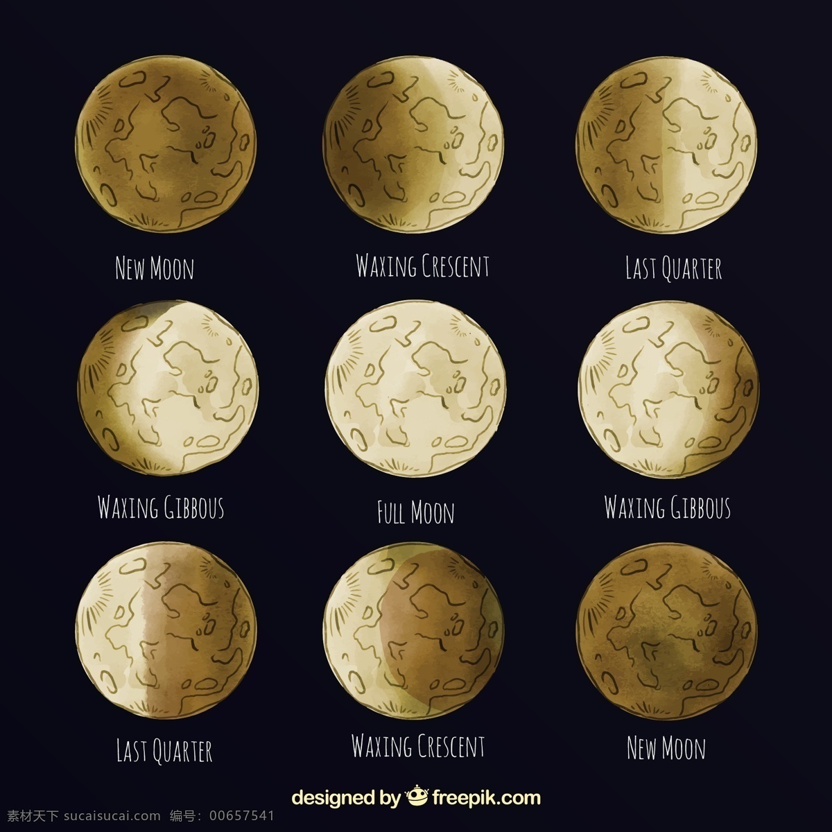 月球的大阶段 日历 手 天空 手绘 月亮 数字 时间 夜晚 时间表 计划者 夜空 宇宙 年 季节 画 占星术 月 满月 周计划者 月相