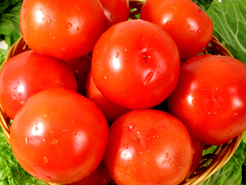 番茄免费下载 番茄 生鲜素材