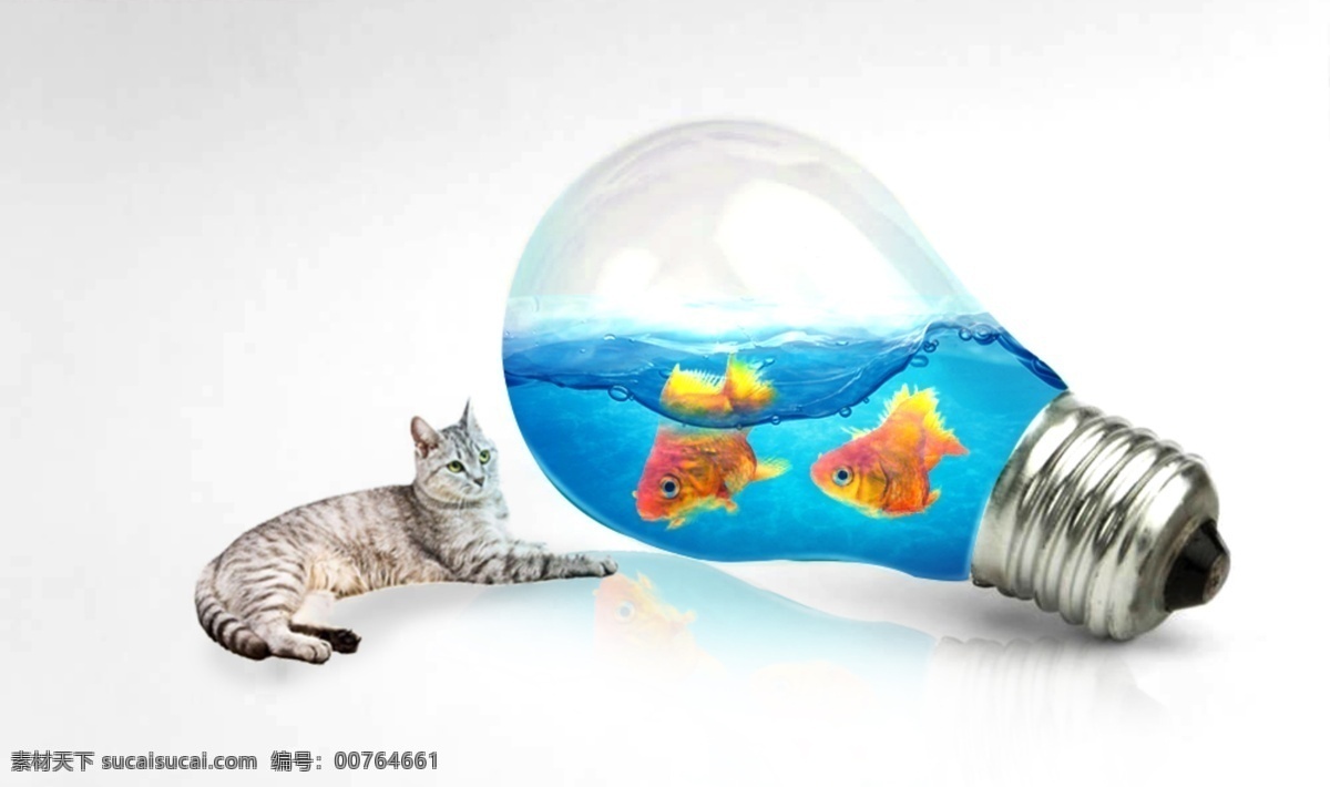 猫 鱼 灯泡 中 小鱼 广告 海报 源文件 广告海报 创意设计 猫和鱼 灯泡中的鱼