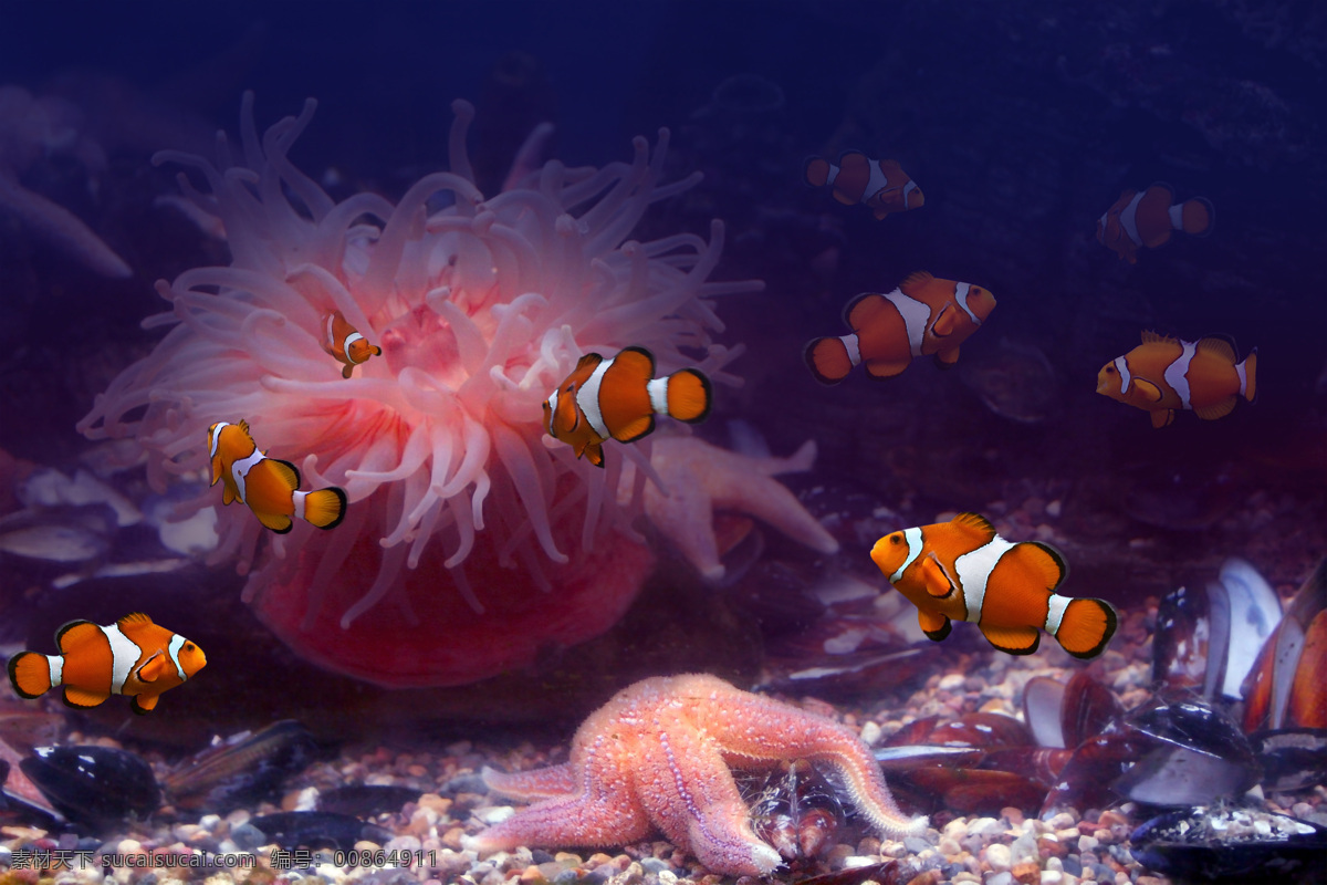 鱼群 水母 鱼类动物 海底动物 海底世界 海水 海洋 深海 海洋海边 水母和小黄鱼 自然景观 黑色