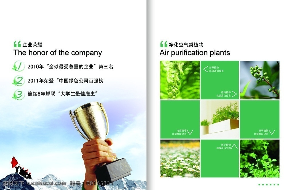 画册企业荣誉 企业荣誉 登山 净化空气 绿色 植物 画册设计 广告设计模板 源文件
