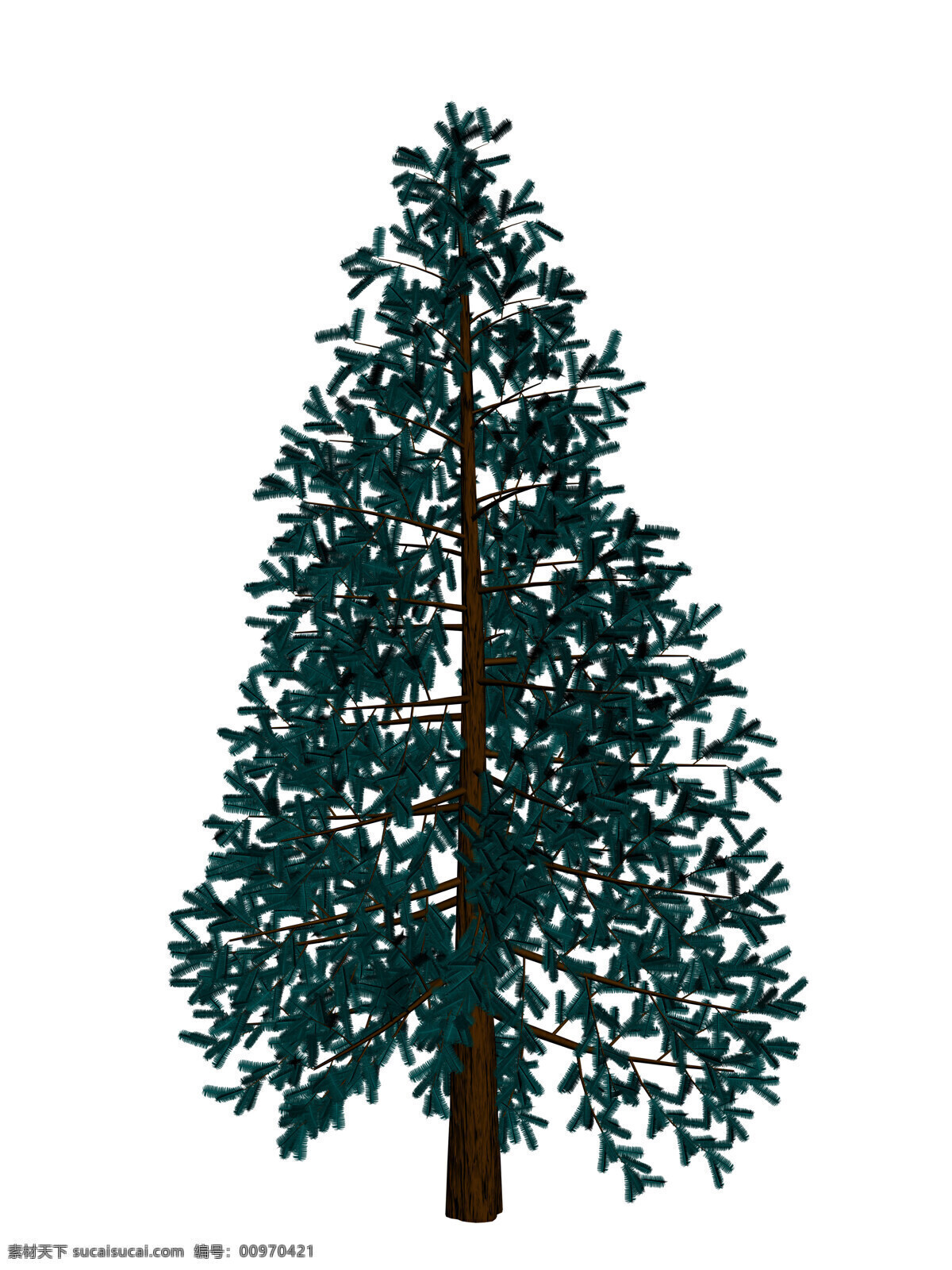 松针 树木 大树 单色背景树木 树木高清图片 植物 3d树木 树木树叶 生物世界