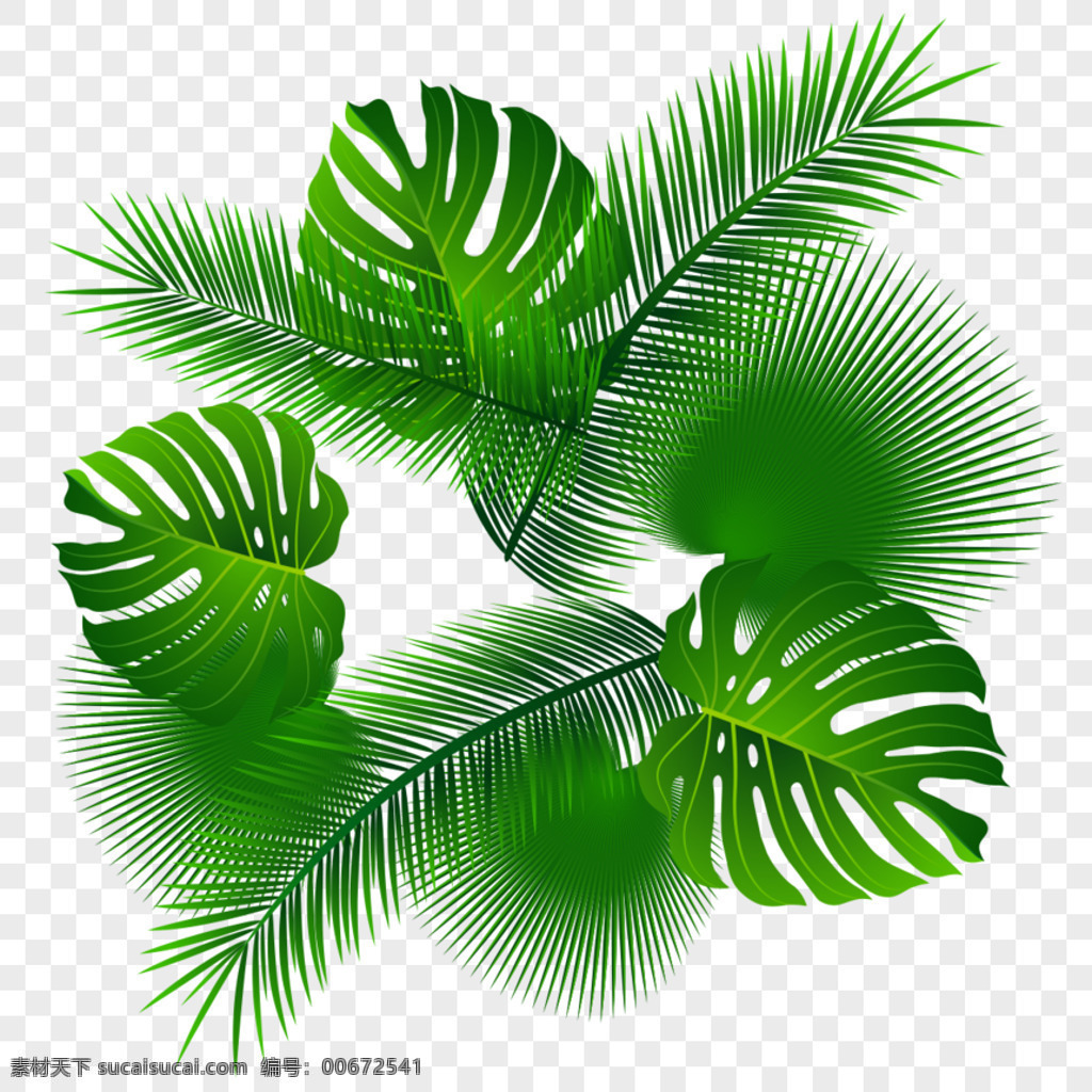 热带植物叶子 热带植物 叶子 热带素材 椰树叶子 棕榈叶