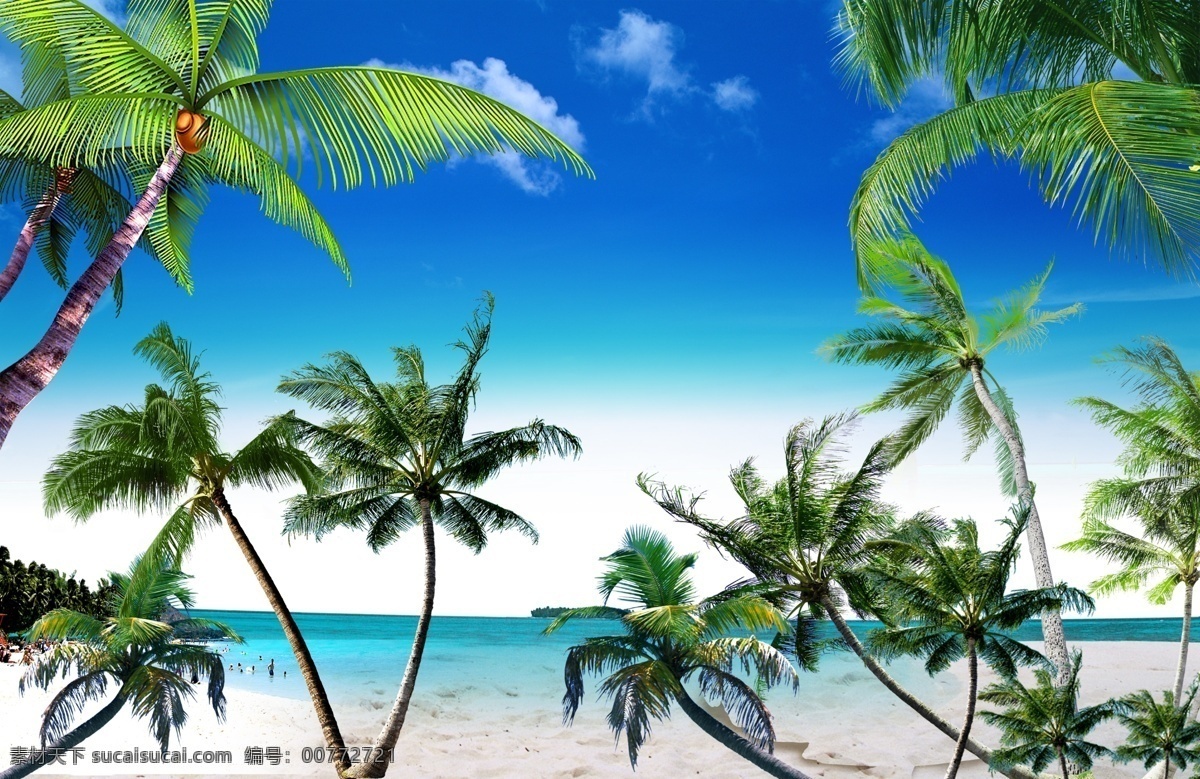 多图层椰子树 椰子树 树叶 海滩 叶子 白色