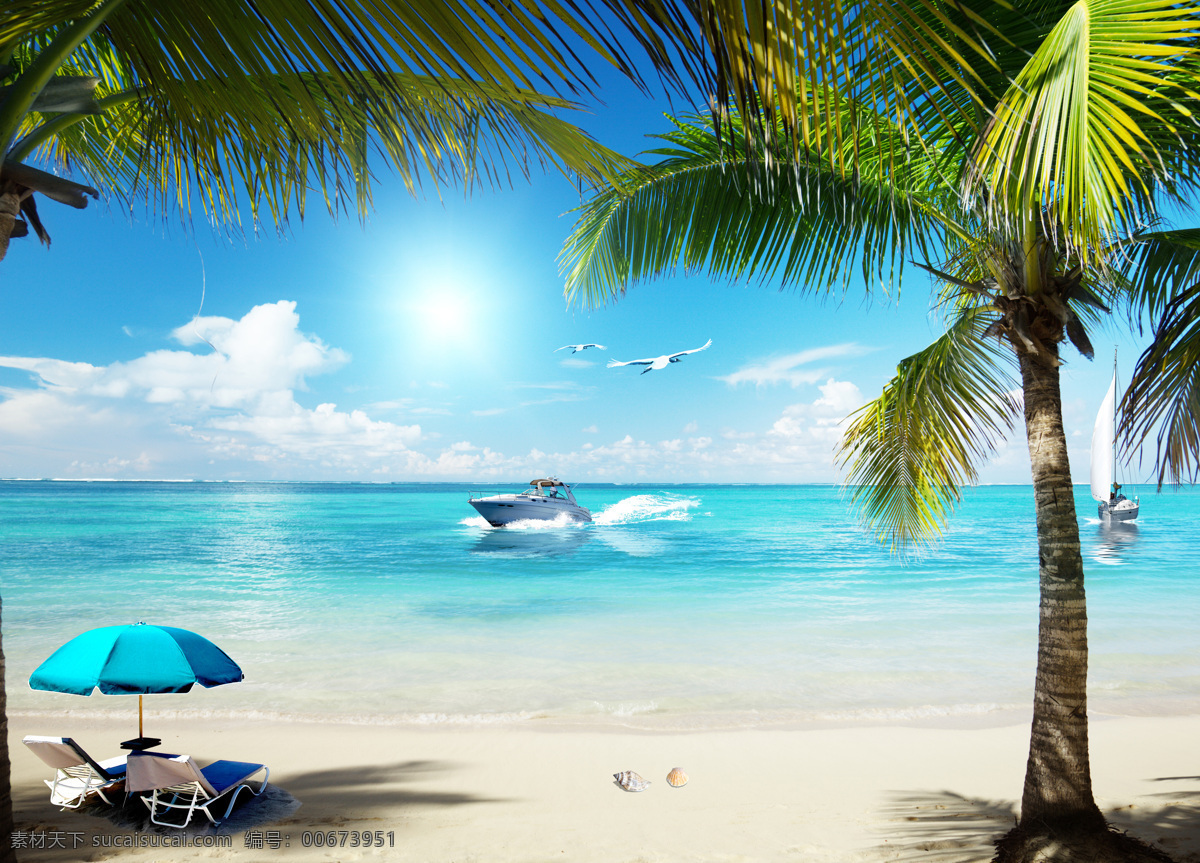 沙滩 海边 背景 图 海星 贝壳 椰树 背景图片 底纹边框 背景底纹