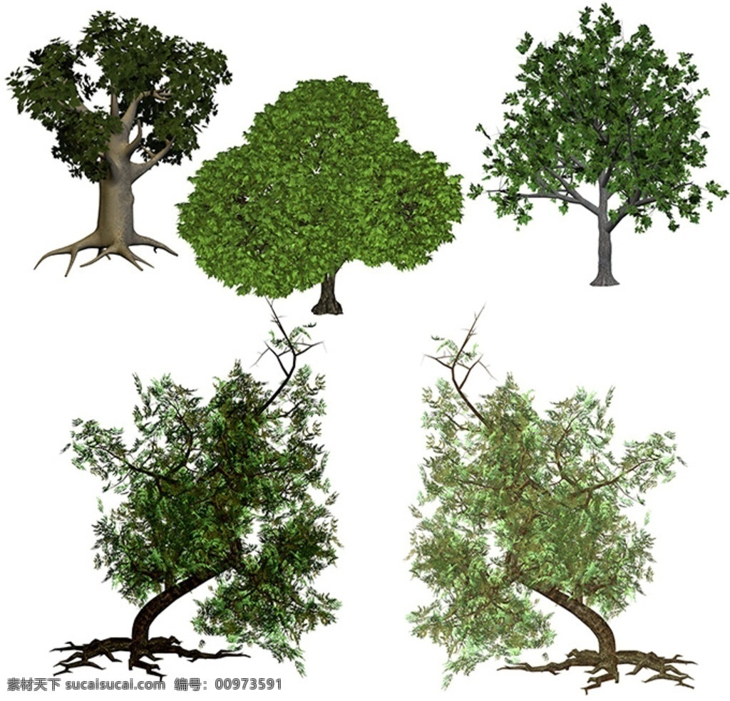 3d树 3d 树素材 绿树 效果图素材 园林素材 分层