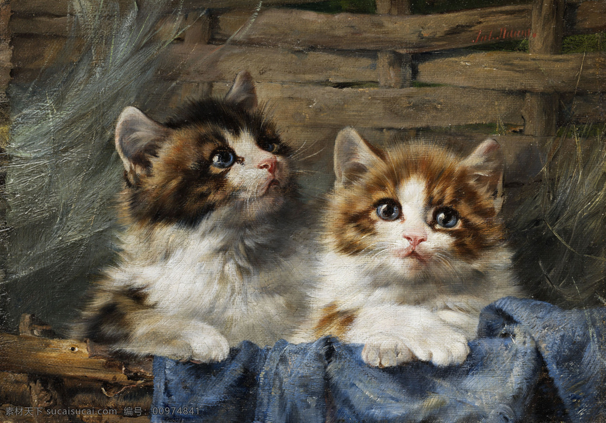两只小猫 小猫咪 尤利 乌斯 亚当 作品 19世纪油画 油画 绘画书法 文化艺术