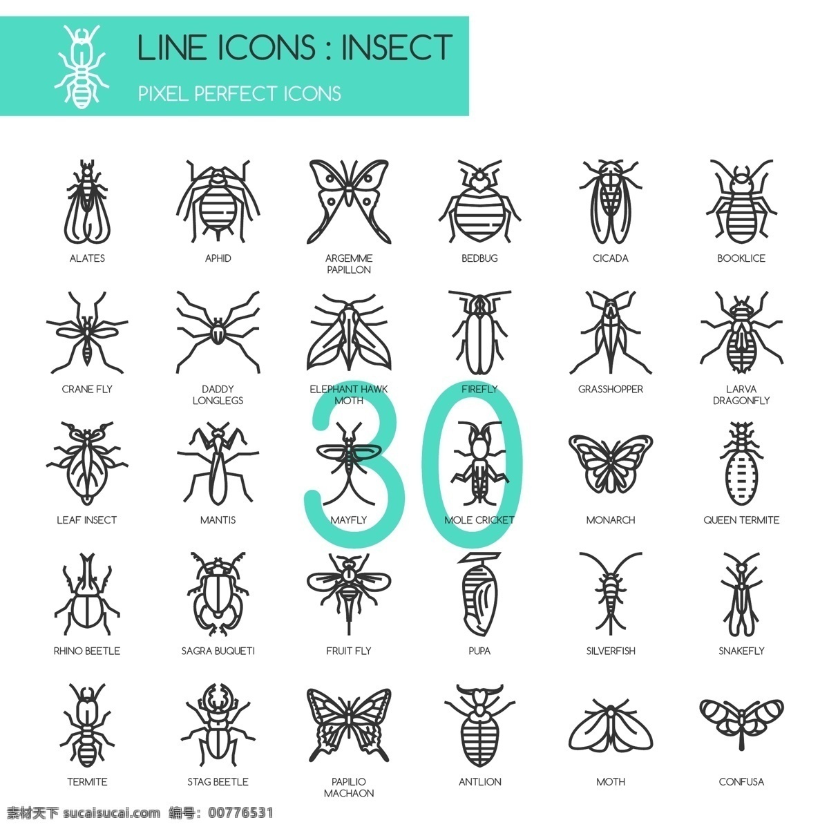 线条 绘 时尚 昆虫 图标 创意 动物 黑白 线条绘