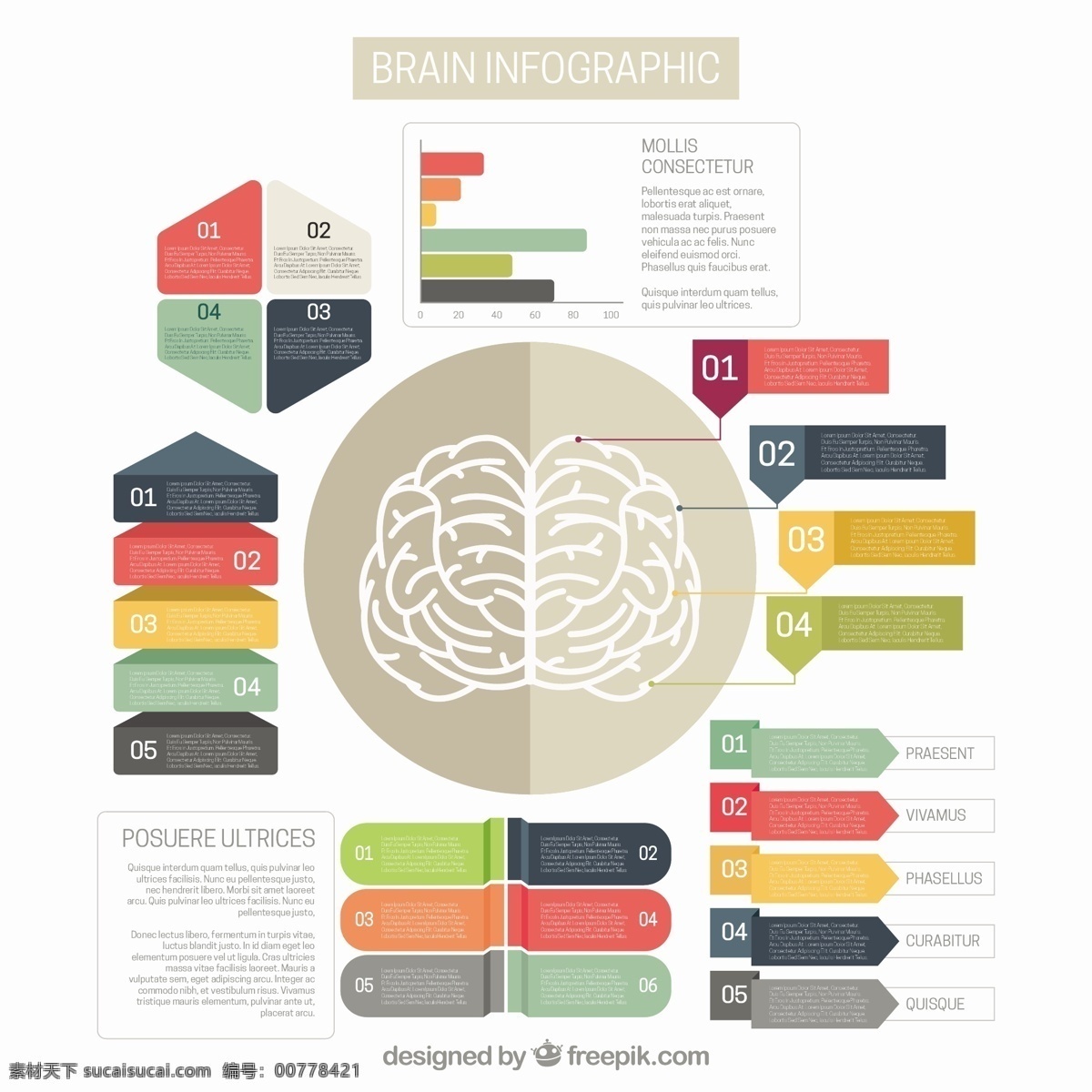 丰富多彩 脑 信息 图表 模板 选项 脑图 营销 图 五颜六色的 平坦的 创造性 过程 中 信息图表模板 数据 平面设计 图形创意 信息图形