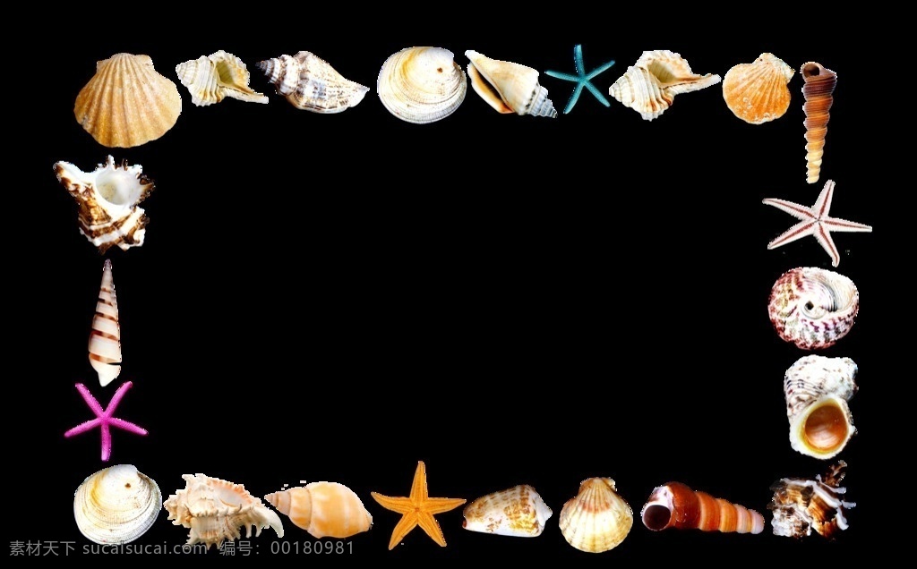 贝壳边框 贝壳 边框 相框 海星 海螺 底纹 生物世界 海洋生物