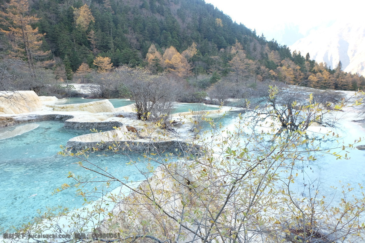 九寨沟 九寨沟风景 九寨沟景观 风景 高清 自然风景 高清风景 风光 自然风光 景观 自然景观 高清山水 山水风景 树木 四川 旅游摄影 国内旅游