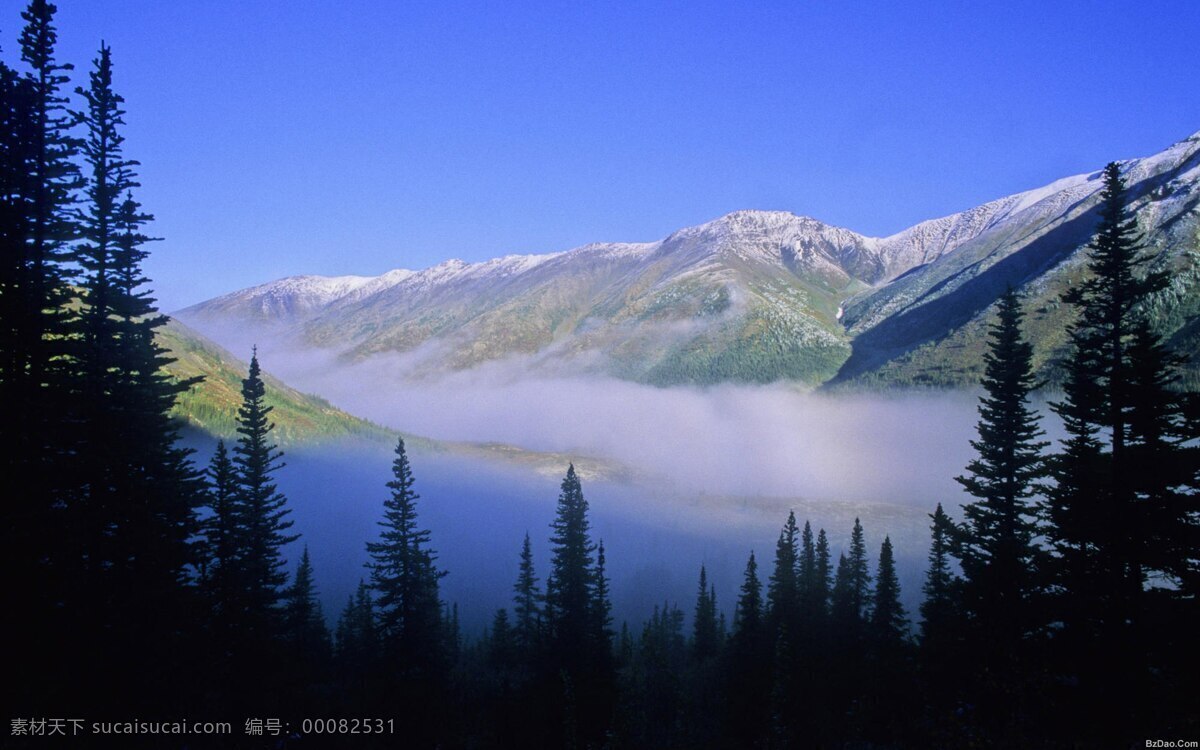 山峰 森林 河流 小溪 树林 山林 自然风景 自然景观