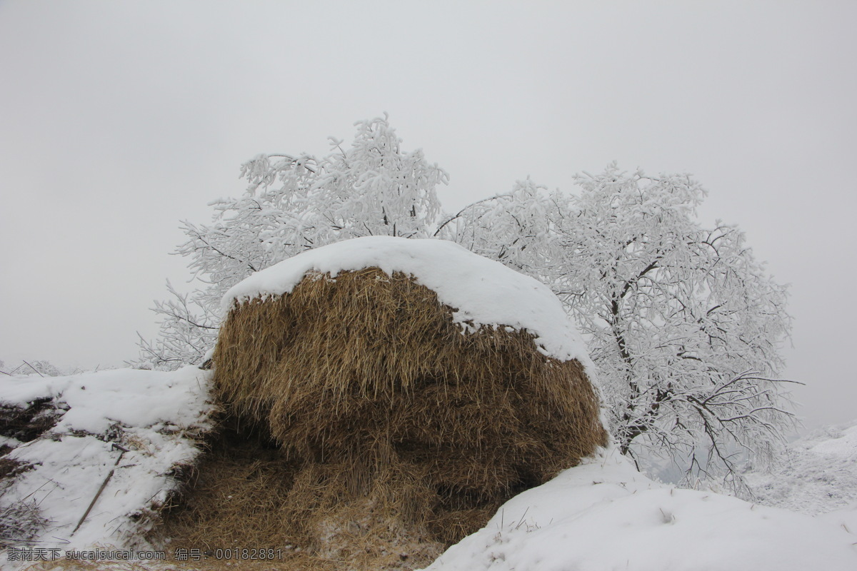 雪景 雪 冬天 冬季 冬 美景 雪山 自然风景 自然景观