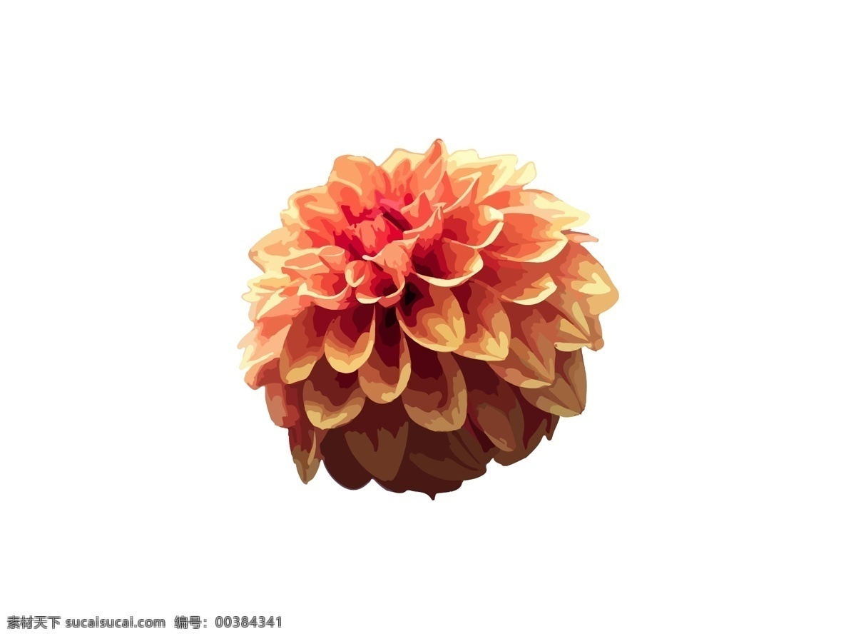 橙红色 菊花 矢量 图案 花 花朵 橙色 红色