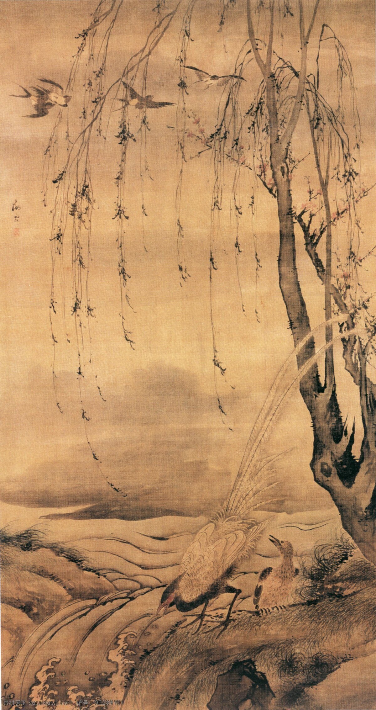 小鸟 喝水 垂柳 古典 古画 国画 绘画 水墨 中国画 小鸟喝水 中华传世国画 中国画艺术 文化艺术