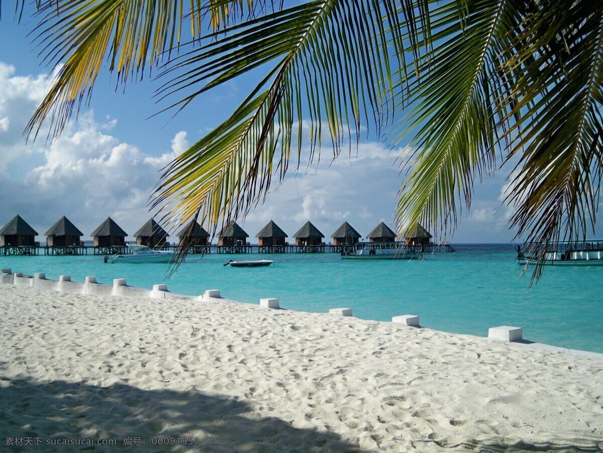 白沙滩 水上 屋 国外旅游 海滩 旅游摄影 马尔代夫 椰子树 蓝色美人蕉 水上屋 psd源文件