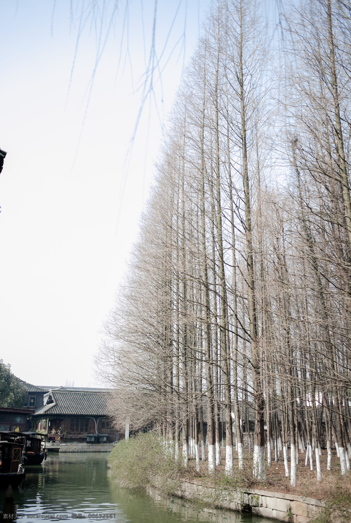 复古 桌椅 树林 风景 森林 图片文件 自然景观 山水风景 旅游摄影 国内旅游