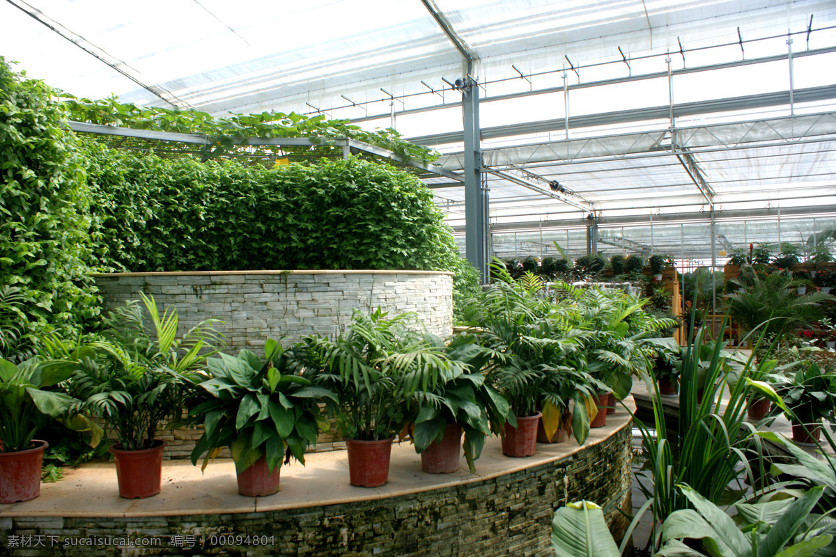 生态大棚 生态园区 生态餐厅 生态园 生态 绿色 餐桌 植物 蔬菜 餐厅 旅游 风光 风景 人文景观 旅游摄影 田园风光 自然景观