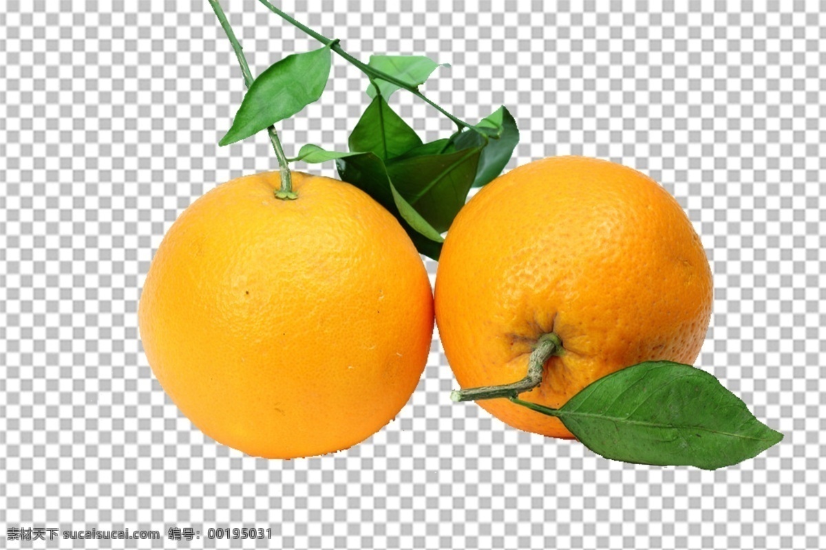 橘子图片 橘子 水果特写 水果写真 透明底水果 免抠图 水果 分层图 通道 分层 新鲜 特写 透明背景 透明底 抠图 png图 生物世界 水果透明底