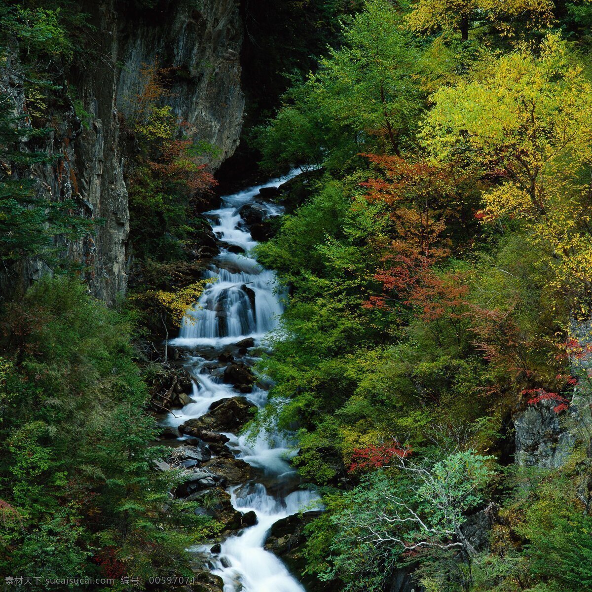 九寨沟风光 石头 小树 瀑布 风景 水流 大山 绿色 山水风景 自然景观