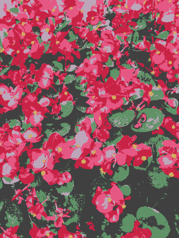 ghostshowers 更多 花 aiflowers email2clipart 红色的 矢量 插画集