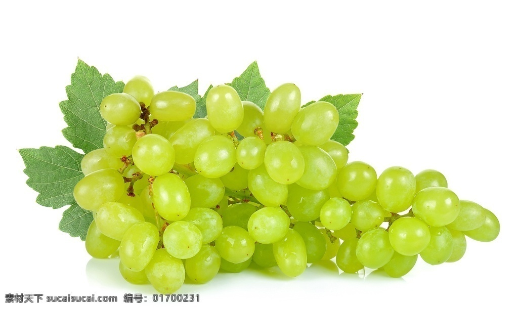 葡萄图片 葡萄 葡萄照片 葡萄相片 葡萄摄影图 生物世界 水果