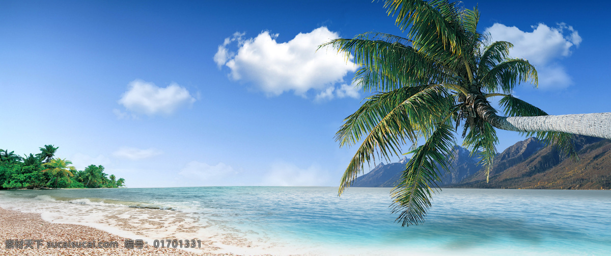 蓝天 白云 椰子 海滩 湛蓝海天椰树 小岛 椰子林 椰子树 绿色 海湾 海景 天空 波浪 沿海 自然景观 自然风景 摄影图库