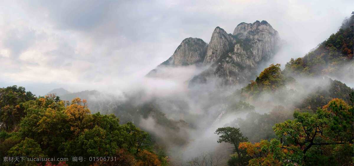 大别山风光 奇石 云 雾 烟枝红 杜鹃花 五针松 自然风景 旅游摄影