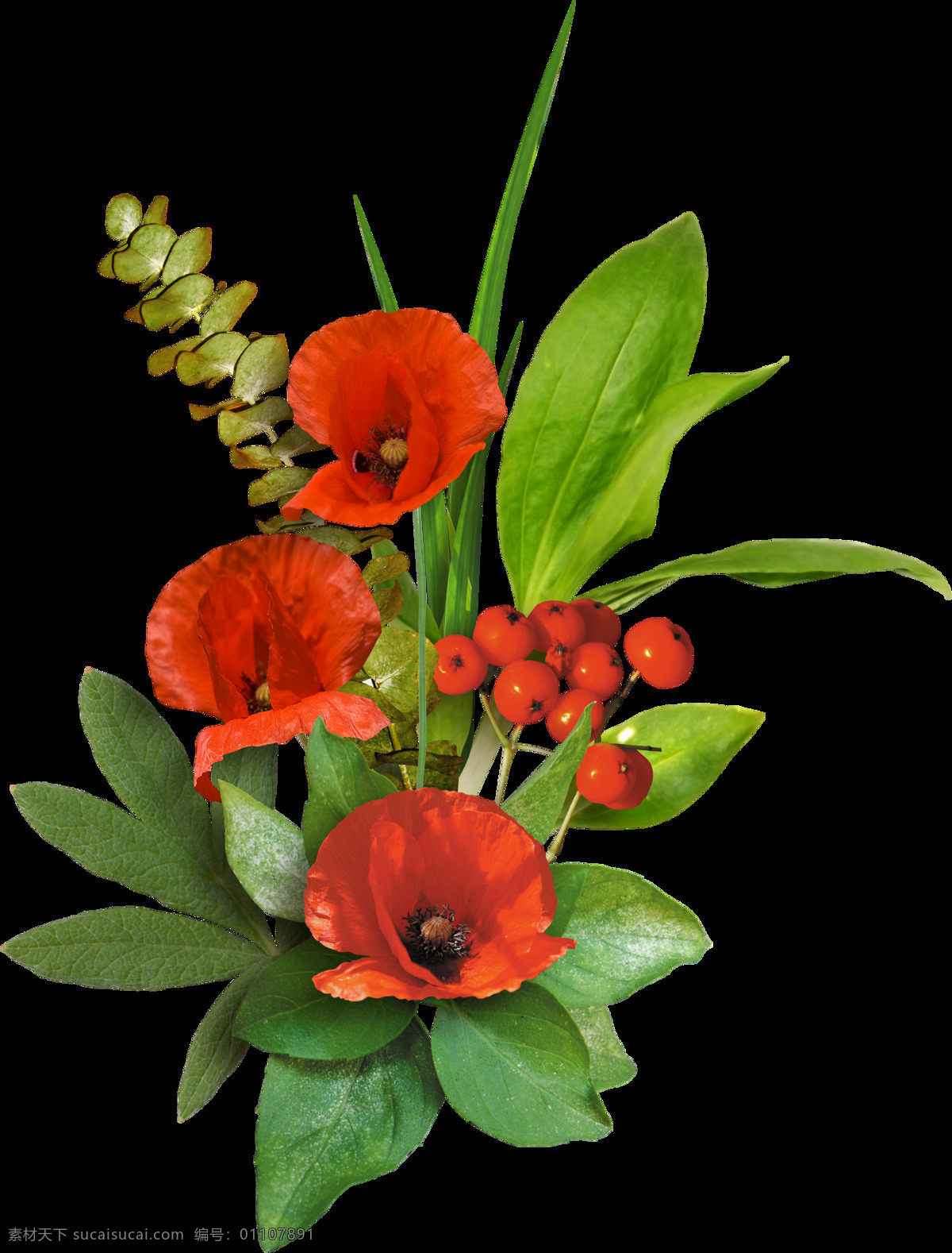 艳丽 观赏性 花卉 植物 插花 透明 红色 绿色 大片叶子 花蕾 透明素材 免扣素材 装饰图片