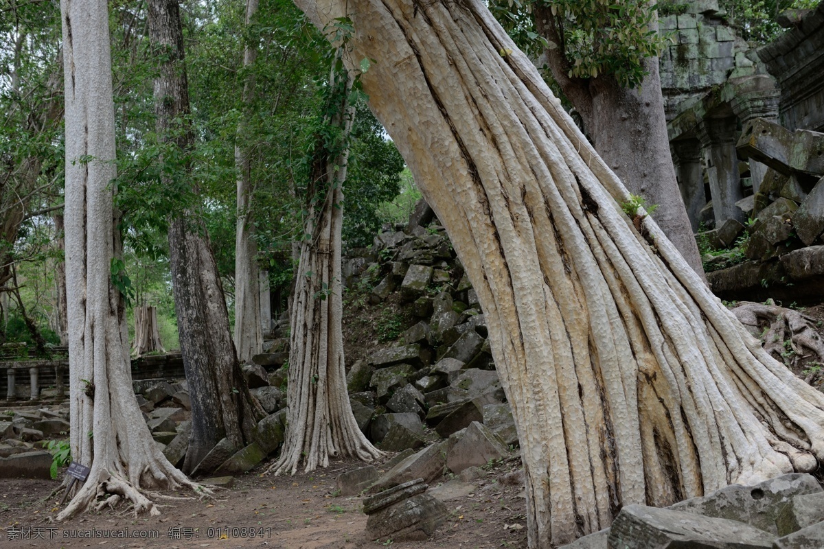 柬埔寨 崩 密 列 风景