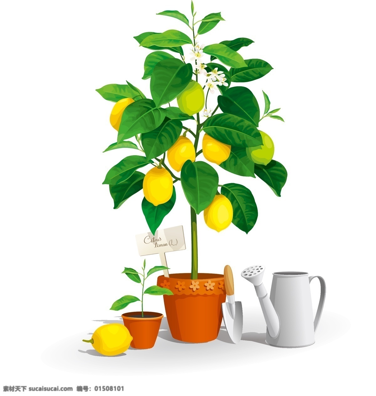 卡通 柠檬 树 矢量 元素 柠檬树 水果 喷水壶 矢量元素 免抠元素 透明元素