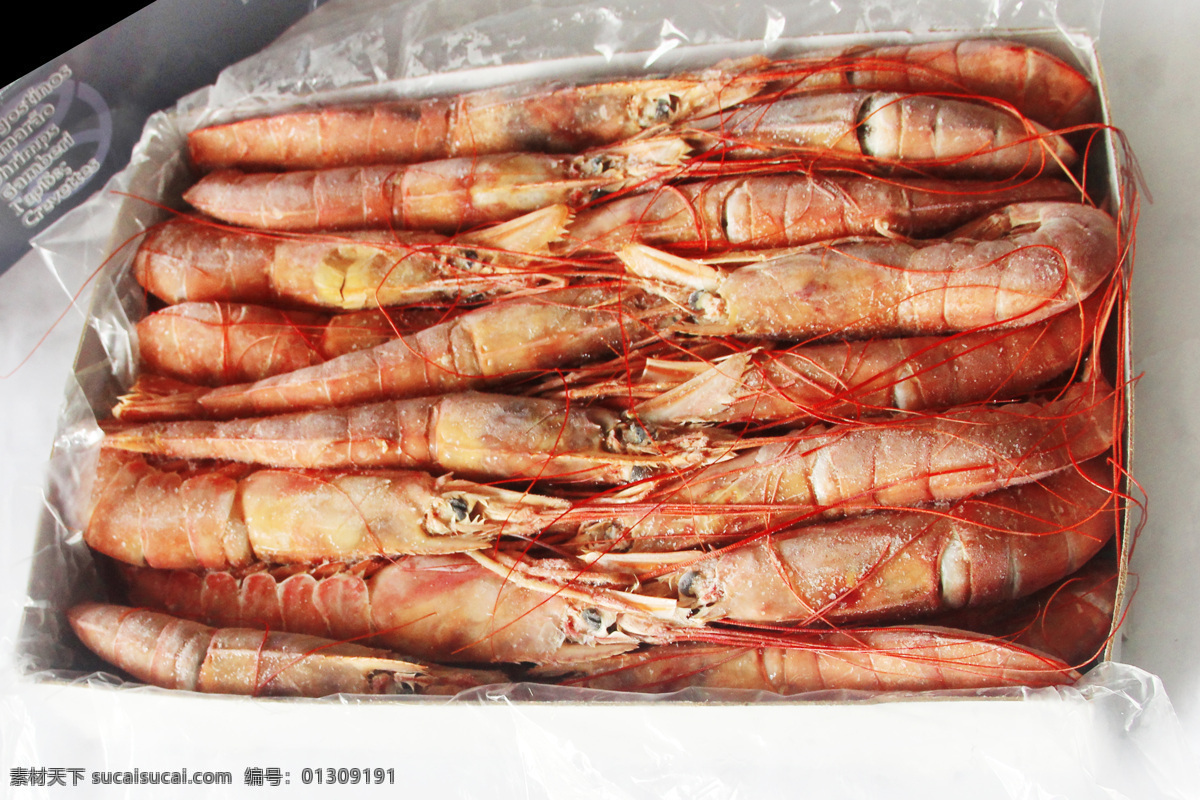 虾免费下载 大虾 实物 红虾 阿根廷红虾 对虾 实物虾 包装实物虾 原创设计 原创节日素材