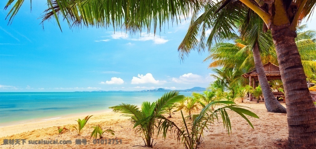 海边阳光 海边风景 自然风景 风景壁纸 海滩 海浪 蓝天白云 海水 海边 椰树 自然景观