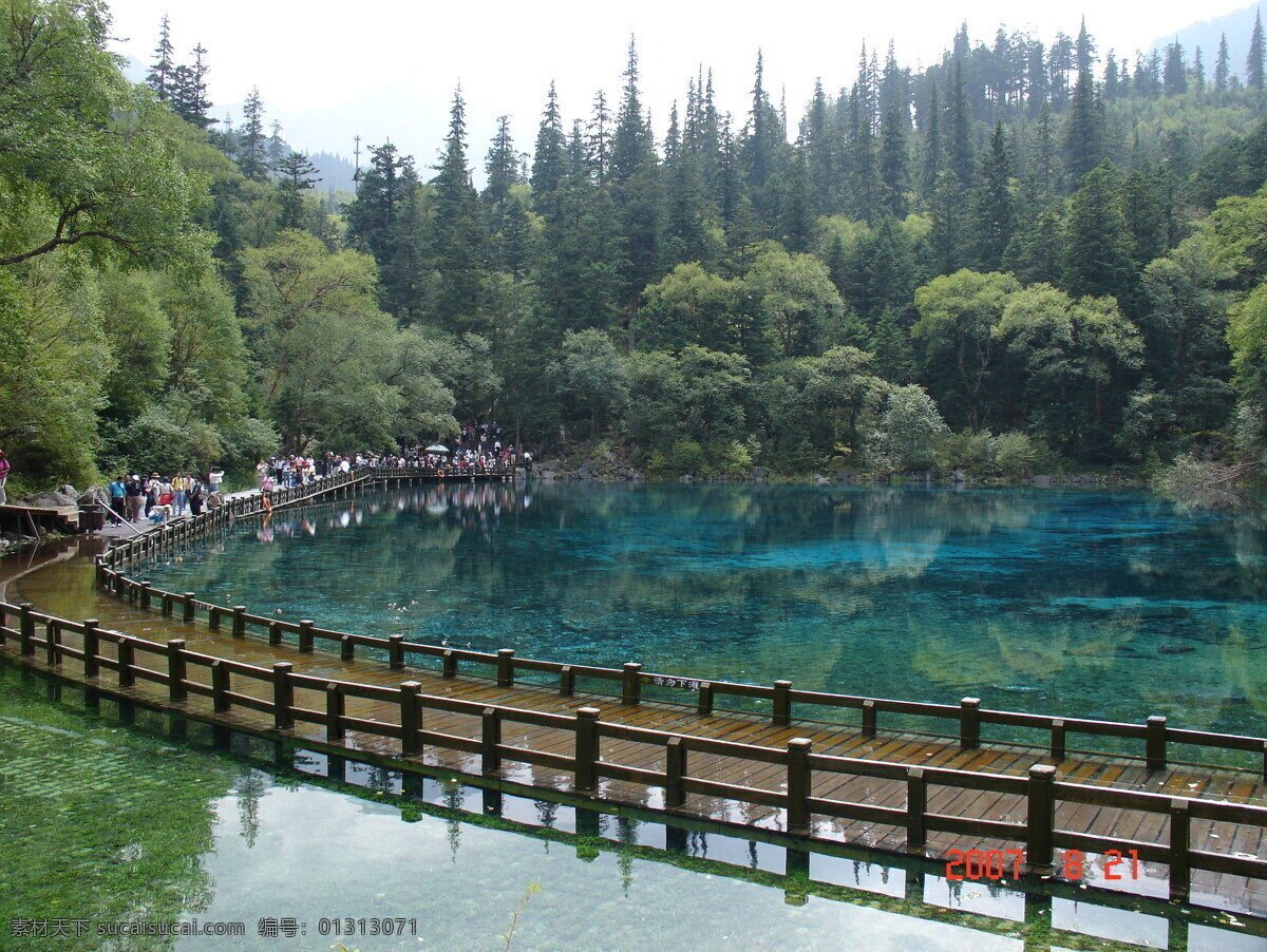 树免费下载 风景 山 山水风景 摄影图 树 植物 自然景观 水 家居装饰素材 山水风景画