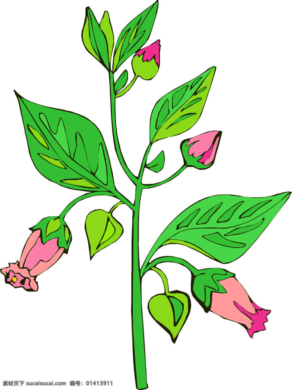 位图免费下载 服装图案 花卉 色彩 位图 植物 优雅植物 面料图库 服装设计 图案花型