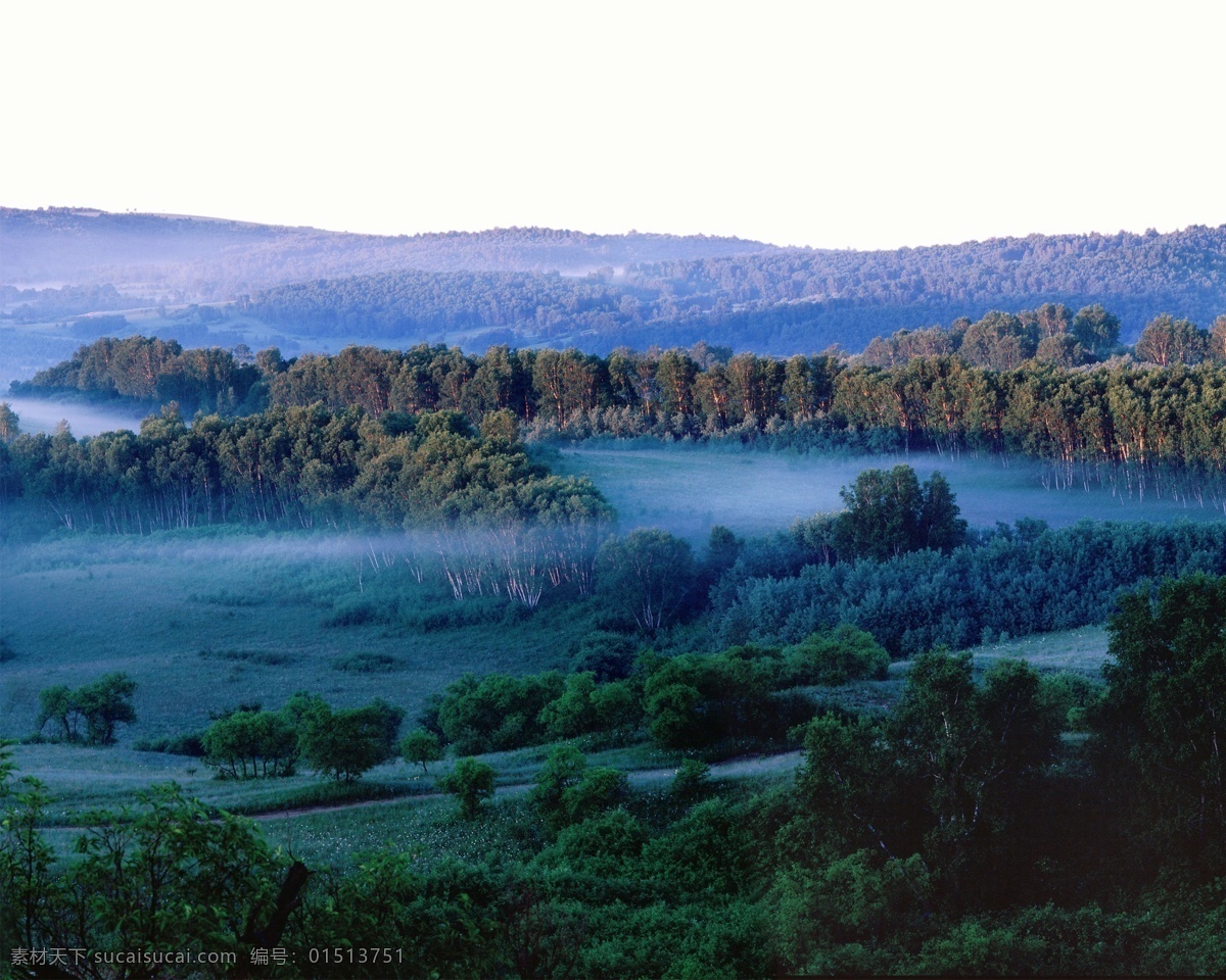 丛林雾霭 自然风景 自然景观 摄影图库 bmp