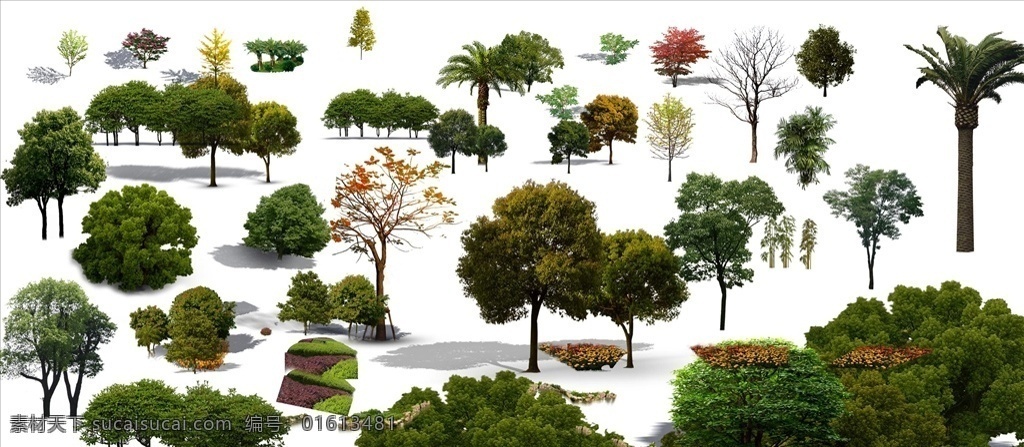 格式 常用 树 树枝 树叶 叶子 绿叶 绿植 树木 树林 生物世界 树木树叶