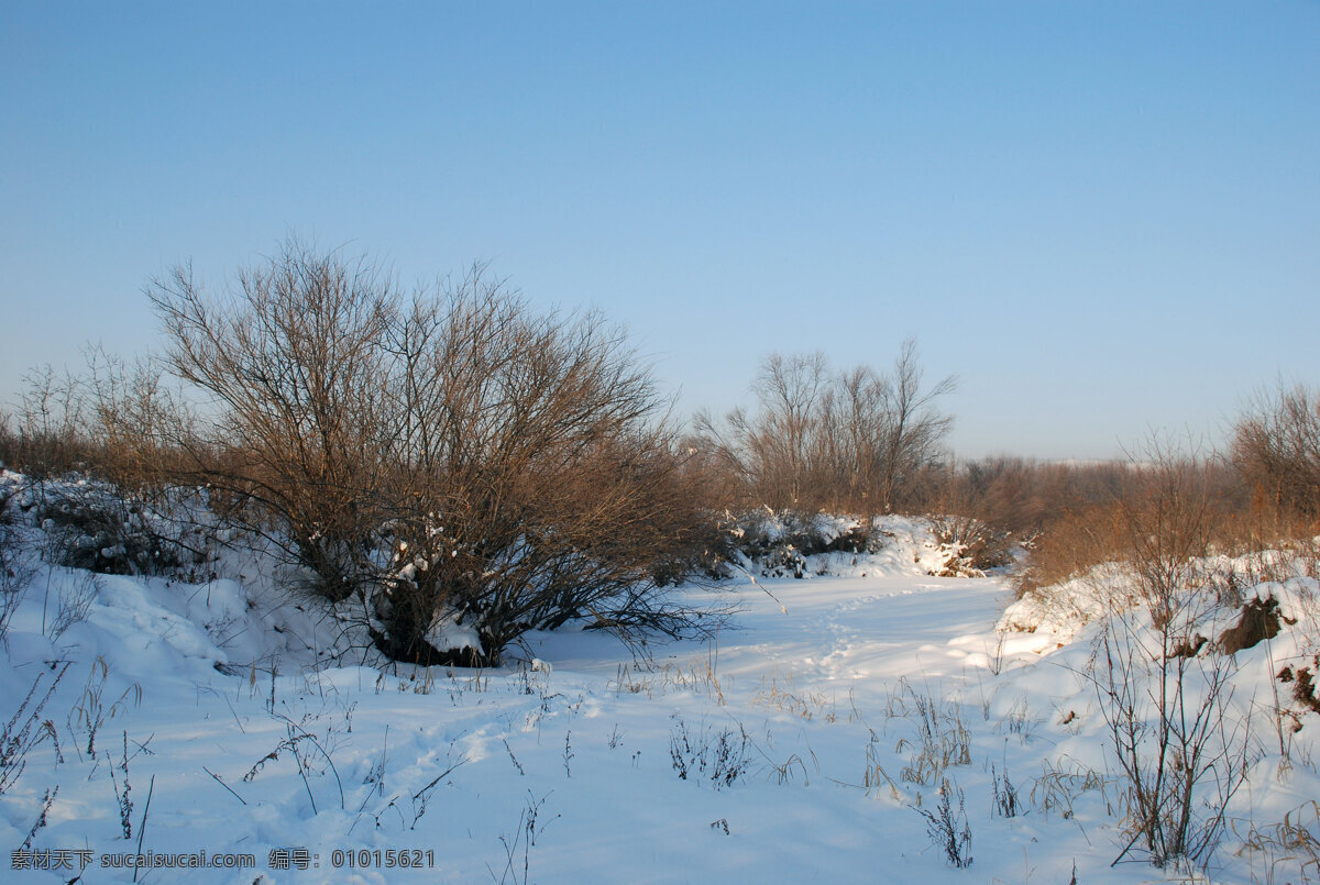 根河 南 河套 冬天 雪景 根河市 寒冷 南河套 草丛 树林 雪地 树木 远山 风景 自然风景 自然景观