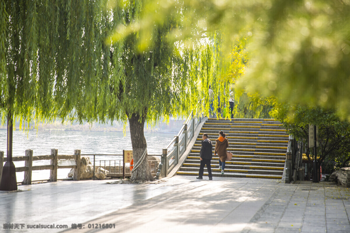 湖畔 风景 名胜 公园 大明湖图片 大明湖 济南 旅游摄影 人文景观