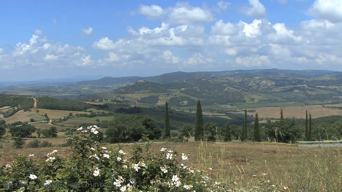 玫瑰 股票 视频 托斯卡纳 景观 白色 花 山 视频免费下载 天空 意大利 云 佛罗伦萨 领域 其他视频